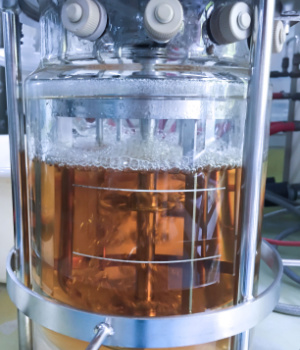Membrane Bioreactor Market Demand, Size, Growth Forecast